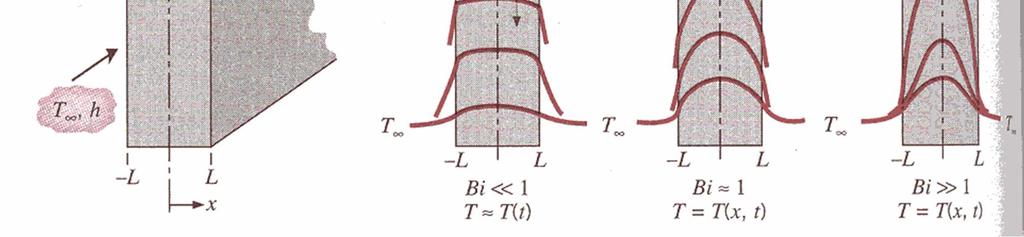 for different Biot numbers in a plane