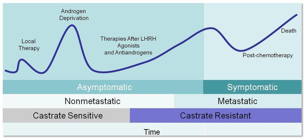 Tumor volume & activity Chemotherapy CHEMO For m HSPC ΜΑΡΤΙΟΣ 2017 Castration M0 CRPC (enzalutamide? ARN509?