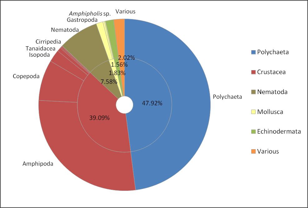 Εικόνα 4.9 Ποσοστιαία συμμετοχή των 5 βασικότερων ταξινομικών ομάδων και των επιμέρους κυρίαρχων taxa στη συνολική αφθονία στο σταθμό δειγματοληψίας Στ.Μ στις 20/2/2016.