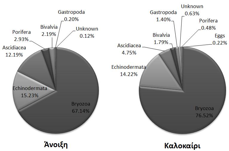 Εικόνα 4.