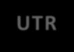 3'UTR 500000 400000 300000 200000 100000 0 PolymiRTS mirdsnp mirnasnp