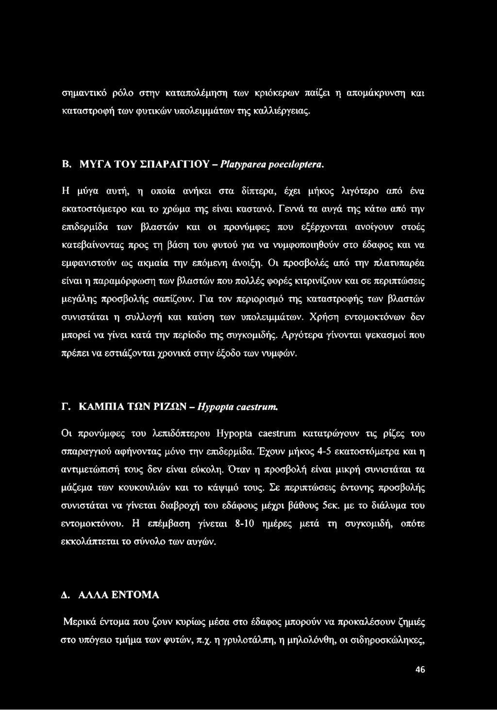 Γεννά τα αυγά της κάτω από την επιδερμίδα των βλαστών και οι προνύμφες που εξέρχονται ανοίγουν στοές κατεβαίνοντας προς τη βάση του φυτού για να νυμφοποιηθούν στο έδαφος και να εμφανιστούν ως ακμαία