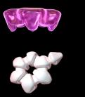 tubule Remaining glucose is reabsorbed by SGLT1 (10%) Loop of