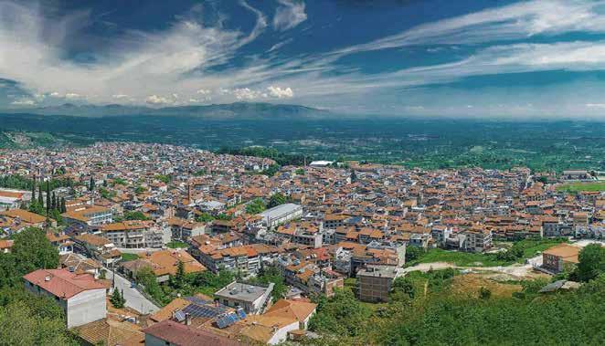 Το Βέρμιο, με την πλούσια βλάστηση και τα δροσερά νερά του διαδέχεται, προς τα δυτικά, τους περίφημους ναουσαίικους οπωρώνες και αμπελώνες και αποκαλύπτει στους λάτρεις της φύσης ομορφιές