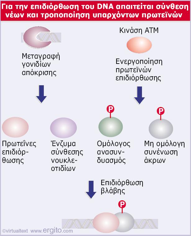 Εικόνα 29.