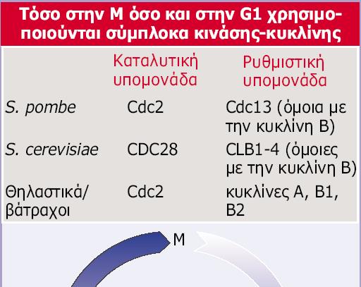 Εικόνα 29.