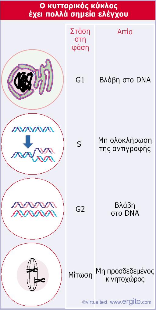 Εικόνα 29.