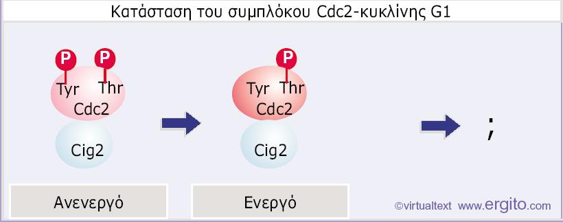 Εικόνα 29.14 Στον S.