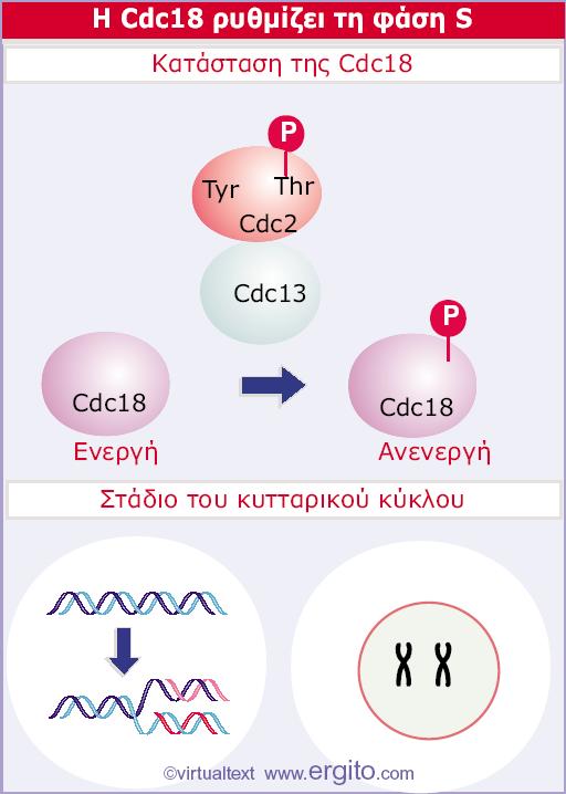 Εικόνα 29.