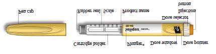 Σημεία για να χορηγήσετε την ένεση Upper arms Stomach Thighs Μπράτσο Στομάχι Μηροί Γνωρίστε τη συσκευή τύπου πένας Cartridge holder Plunger* Dose window Dose pointer Pen cap Rubber seal Scale Product