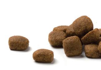 FORMULE PENTRU CÂINI Advance Articular Care Hrană uscată: 800 gr, 3 kg şi 12 kg Tratament preventiv pentru probleme de osteoartrită.