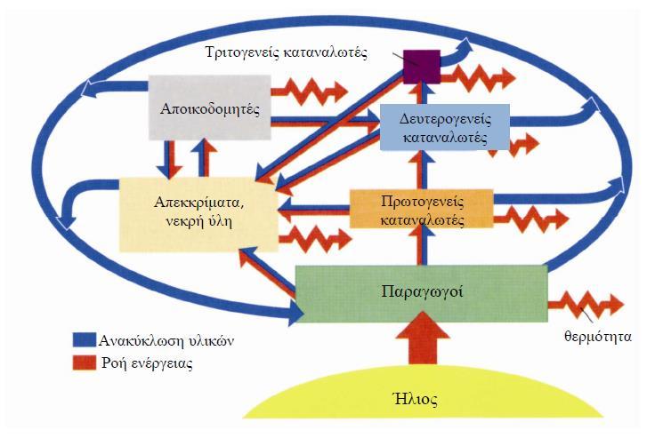 Ροή Ενέργειας Πηγή της ενέργειας είναι ο