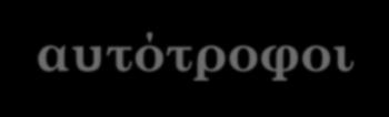 Οι οργανισμοί τρέφονται Η τροφή παρέχει ενέργεια και χρήσιμα υλικά.