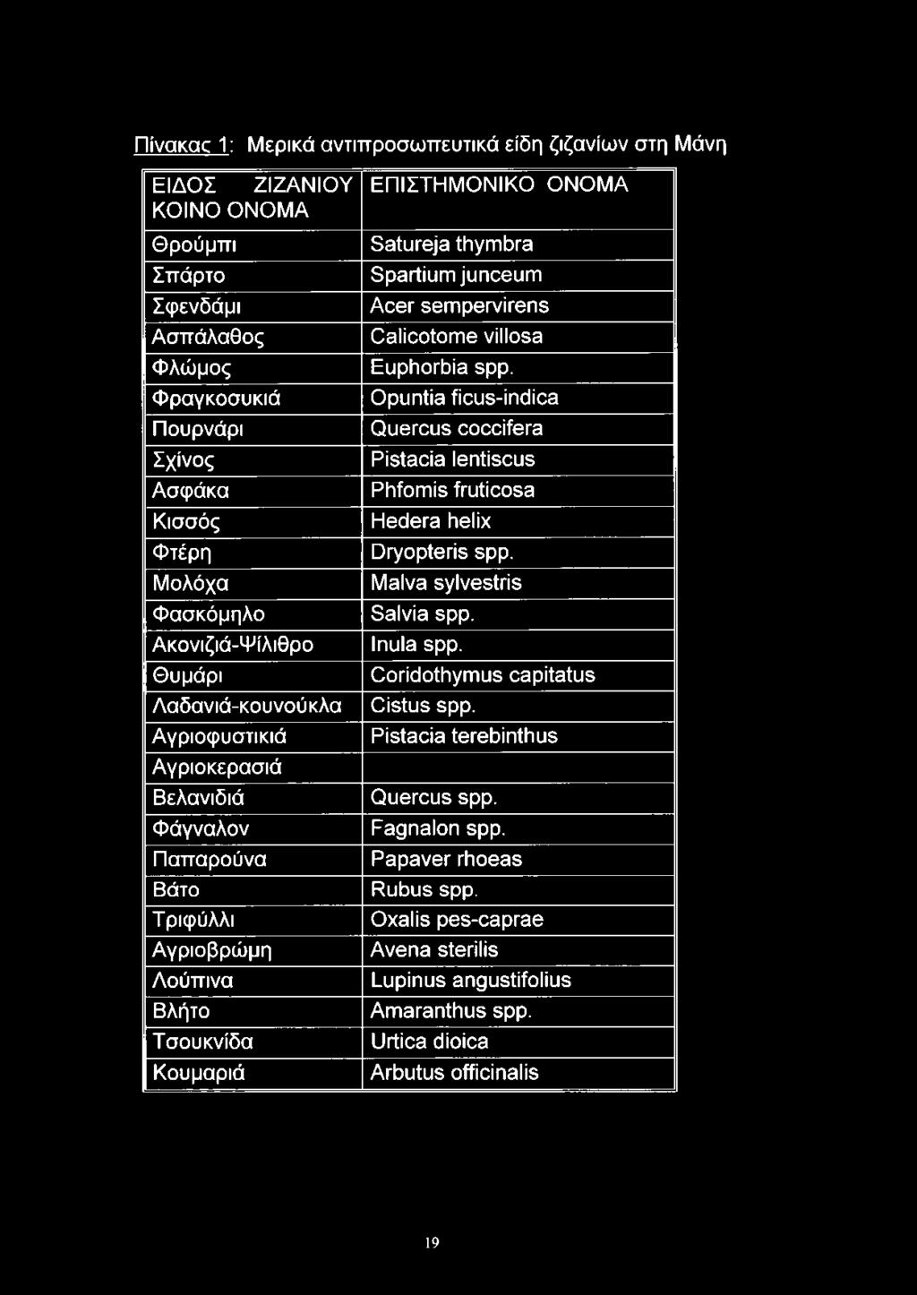 Spartium junceum Acer sempervirens Calicotome villosa Euphorbia spp. Opuntia ficus-indica Quercus coccifera Pistacia lentiscus Phfomis fruticosa Hedera helix Dryopteris spp.