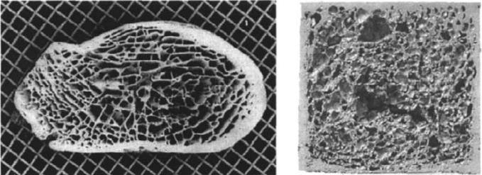 8 Metalne pjene Prirodni materijali su u pravilu porozni (kamen, kost, koralji...). Metalnim pjenama pokušavamo se približiti strukturama koje nastaju u prirodi (slika 8.1).