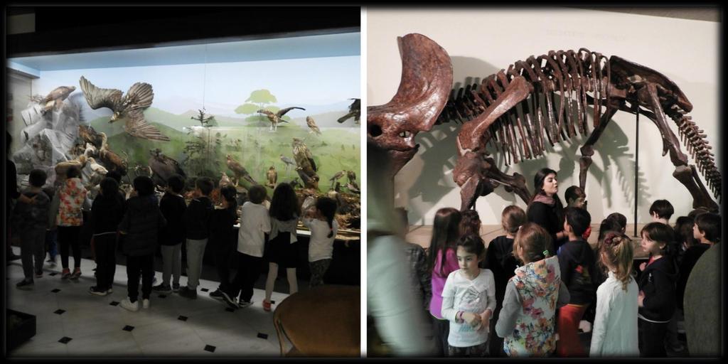 Επόμενος σταθμός, το Μουσείο Φυσικής Ιστορίας Γουλανδρή. Τα παιδιά ξεναγήθηκαν στους εκθεσιακούς χώρους.