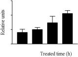 IL-1., negative controlnon-treated IL-1 positive controllps IL-1 (Fig. 6). IL-1 indirect ELISA negative control. luminometer control(mock). IL-1. 5 1 1.