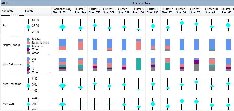 Τα χαρακτηριστικά των συστάδων παρουσιάζονται στο περιβάλλον Cluster Profiles. Εικόνα 8.6: Το προφίλ των συστάδων στο περιβάλλον Cluster Profiles.