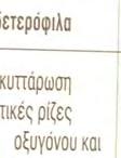 άλλους τύπους ενδοκυττάρωσης, όπως πχ ενδοκυττάρωση με τη