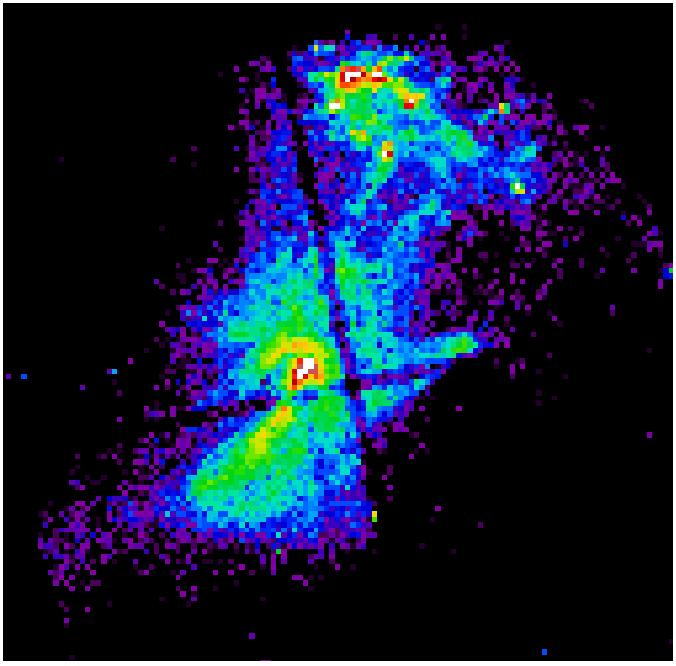 9 Distance d5=5 kpc 35' radius (complex) shell R ~50 d5 pc SNR PSR 1509-58 B ~1.5x1013 surf 37 Edot=1.