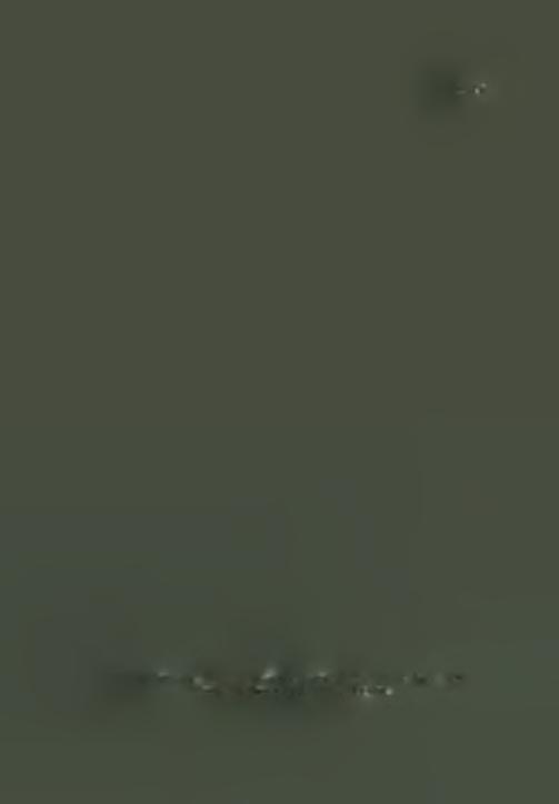 ΠΙΝ. ΛΛ' Δ.