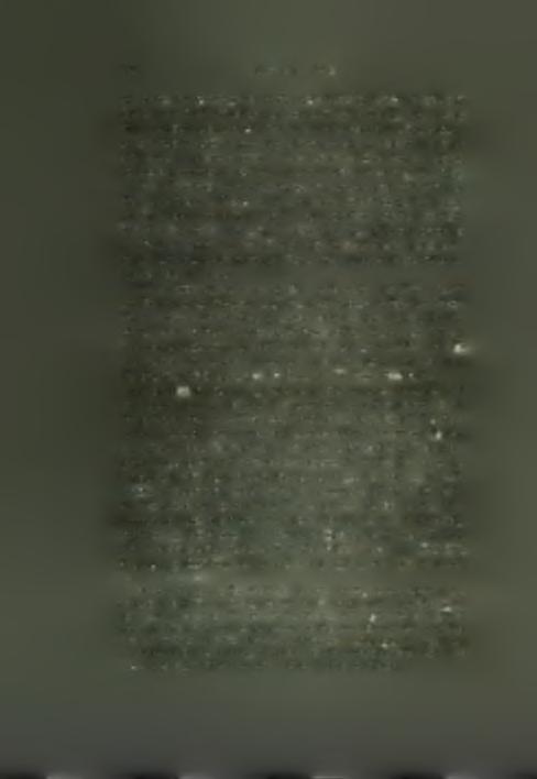 related to those described here, but have not known their identity.
