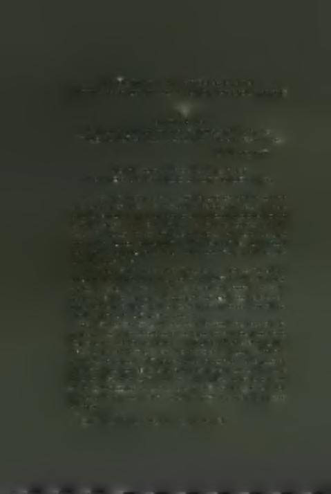 L, on aura agreable d observer que cet etat ne saurait etre regulier comme ceux des autres Echelles, faute de matiere pour le pouvoir remplir et cela parce que les Frangais resident a la Canee et y