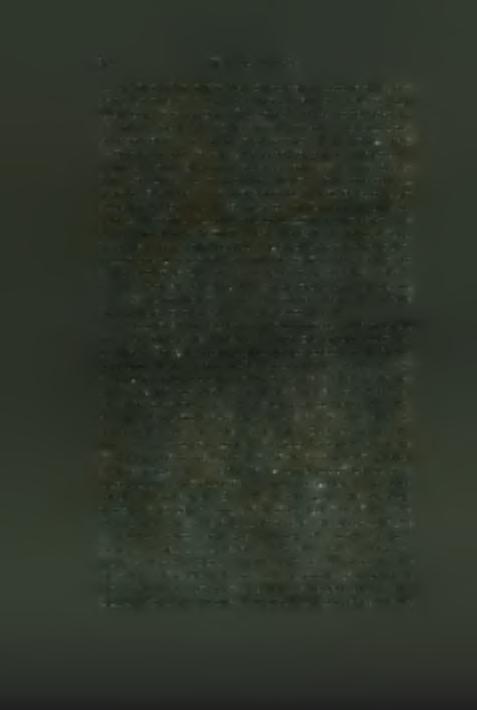 domages ont ete plus au moins grands, mais n ont pas ete moindres de deux pour cent et il y en a meme quelques uns qui ont monte a plus de cinq pour cent, ce qui joint au danger qui courent les