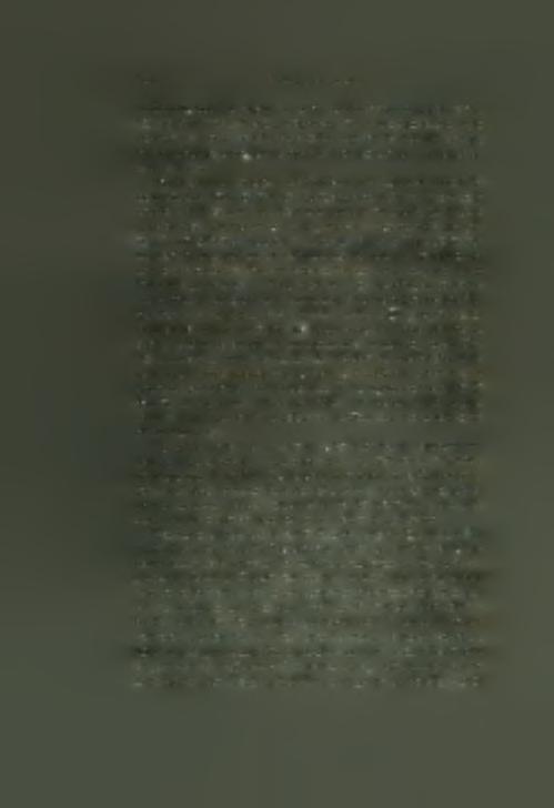 rare qu on declare cette denree dans le manifeste que Γ on remet en chancellerie. Voila en quoi consiste principalement le commere passif de ce royaume.