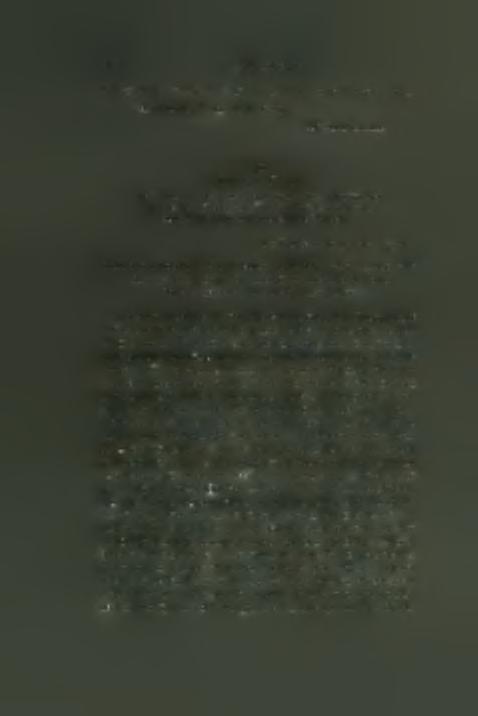 (La Canee le 29 Janvier 1730) Memoire concernant le commerce de Rettimo et de la necessite qu il y a de rectifier la mesure ou mistache de terre dont on se sert a la livraison des huiles.