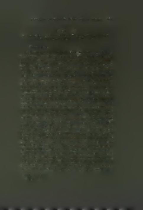 au large dans la rade, qu il a fallu P aller prendre avec un pinque franqais et le porter dans le port non sans beaucoup de peines a cause du vent et de la grosse mer contraire, ainsi que par P