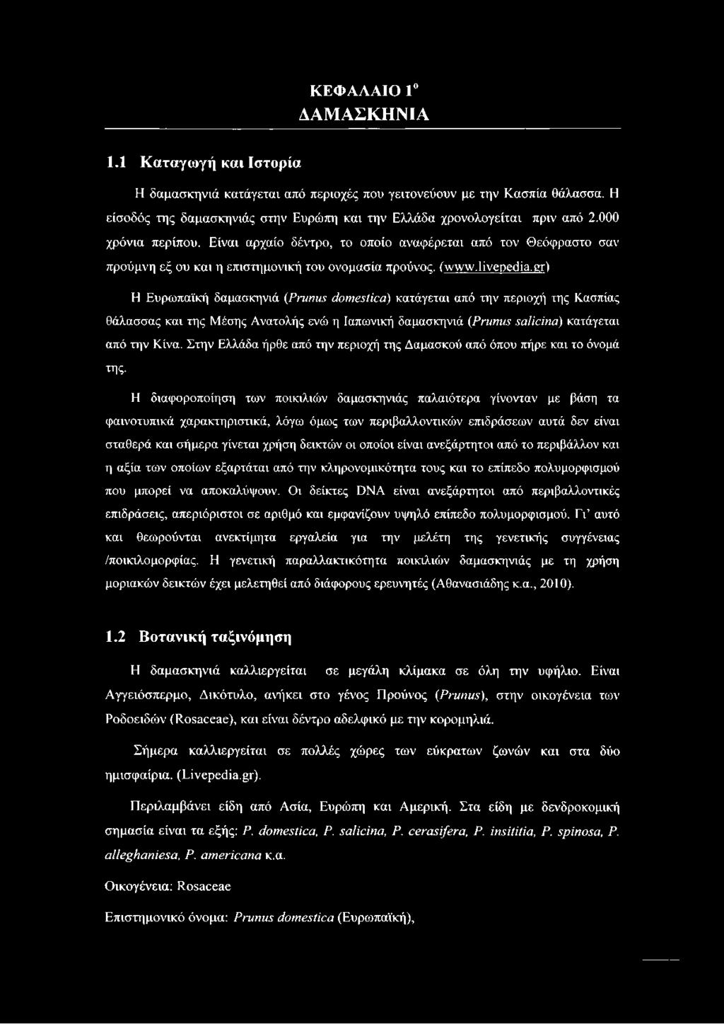 Είναι αρχαίο δέντρο, το οποίο αναφέρεται από τον Θεόφραστο σαν προύμνη εξ ου και η επιστημονική του ονομασία προύνος. (www.livepedia.