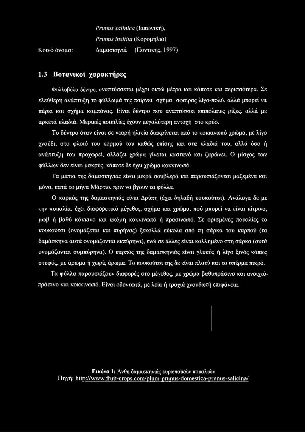 Μερικές ποικιλίες έχουν μεγαλύτερη αντοχή στο κρύο.