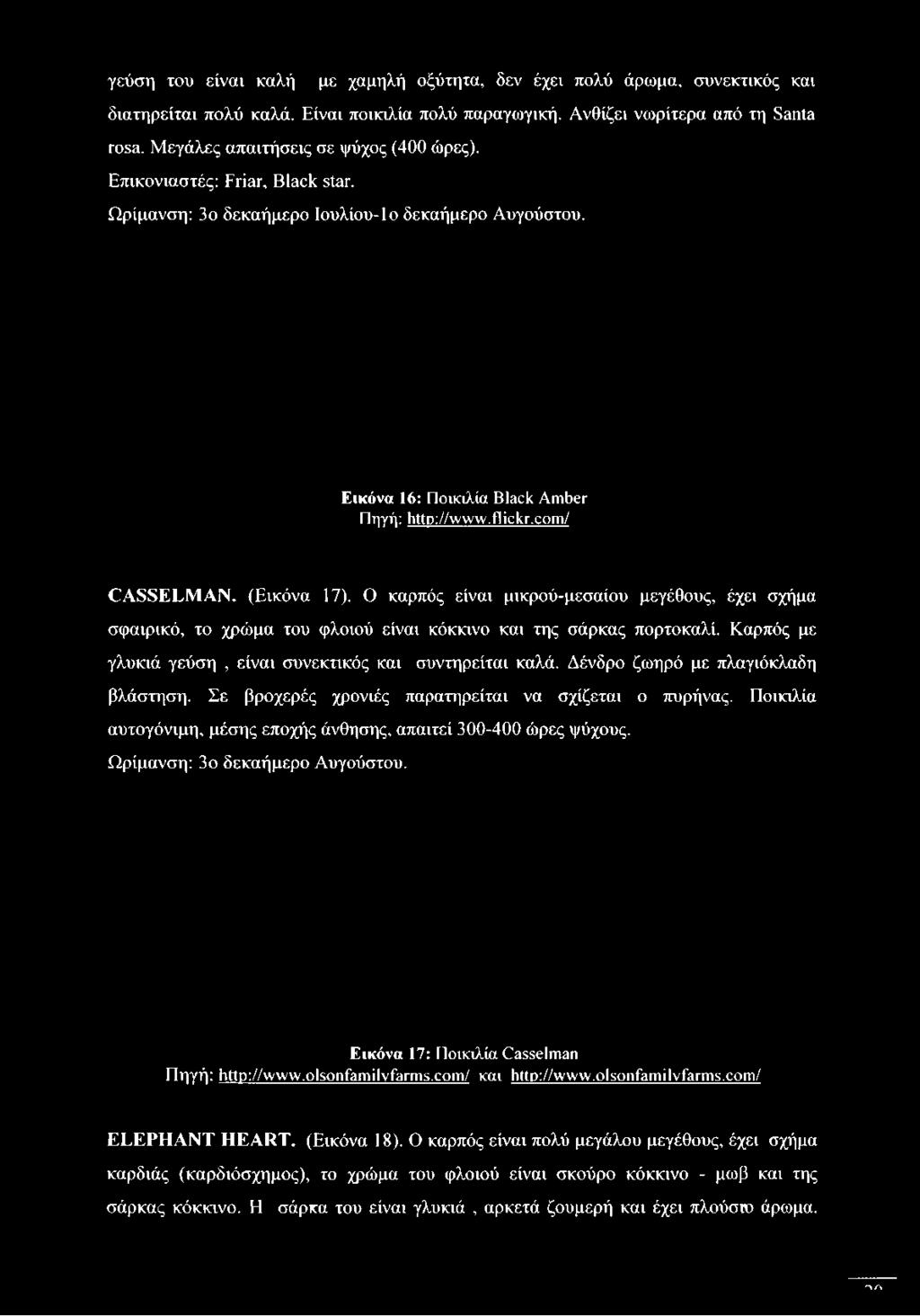 Ωρίμανση: 3ο δεκαήμερο Ιουλίου-Ιο δεκαήμερο Αυγούστου. Εικόνα 16: Ποικιλία Black Amber Πηγή: http://www.flickr.com/ ΟΑδδΕΕΜ ΑΝ. (Εικόνα 17).