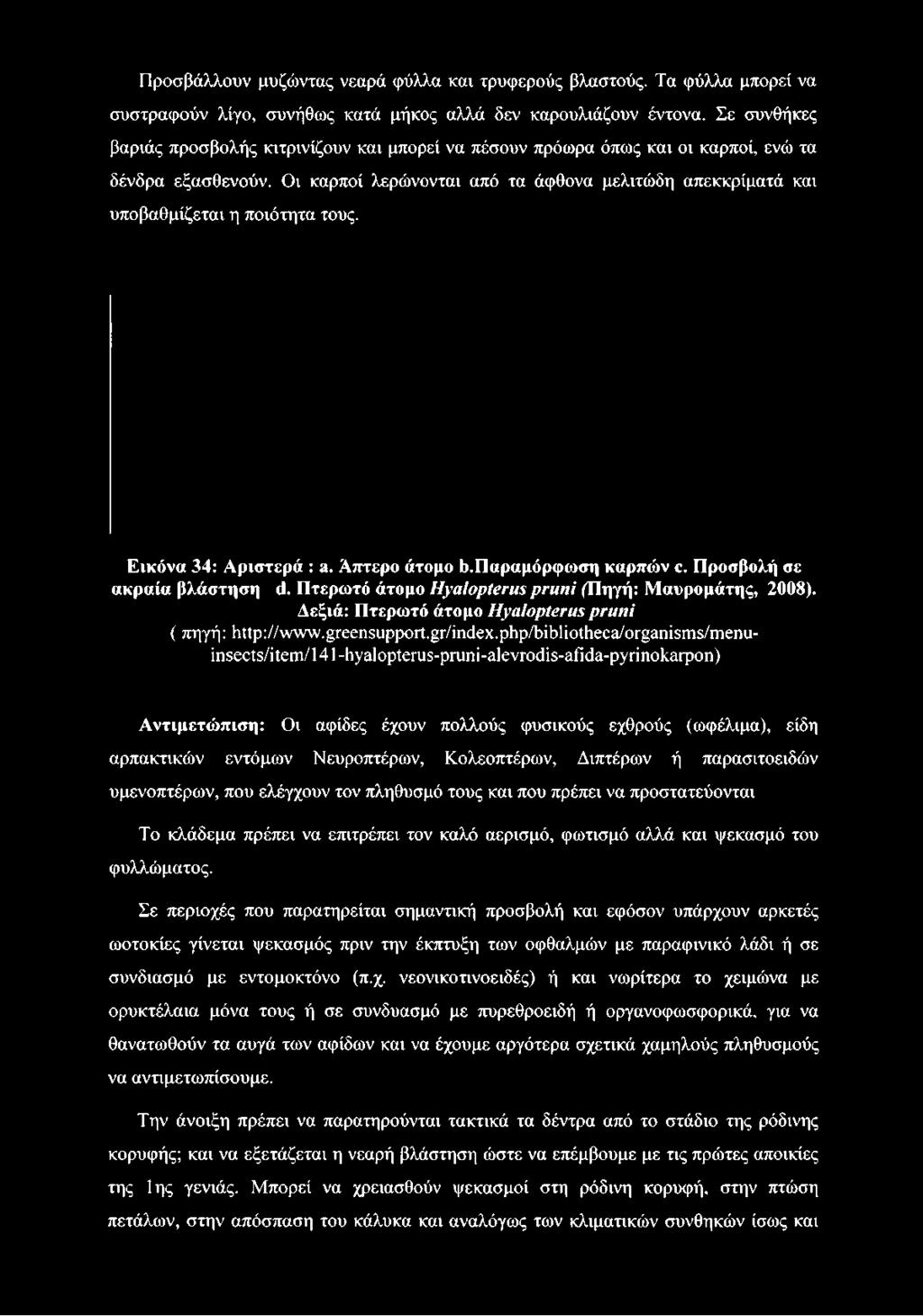 Οι καρποί λερώνονται από τα άφθονα μελιτώδη απεκκρίματά και υποβαθμίζεται η ποιότητα τους. Εικόνα 34: Αριστερά : a. Απτερο άτομο b.παραμόρφωση καρπών c. Προσβολή σε ακραία βλάστηση d.