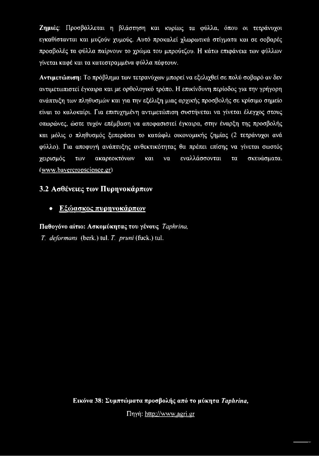 Αντιμετώπιση: Το πρόβλημα των τετρανύχων μπορεί να εξελιχθεί σε πολύ σοβαρό αν δεν αντιμετωπιστεί έγκαιρα και με ορθολογικό τρόπο.