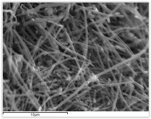 a) b) a) b) Εικόνα 69. Εικόνες SEM των νανοϊνών άνθρακα που χρησιμοποιήθηκαν στην εργασία.