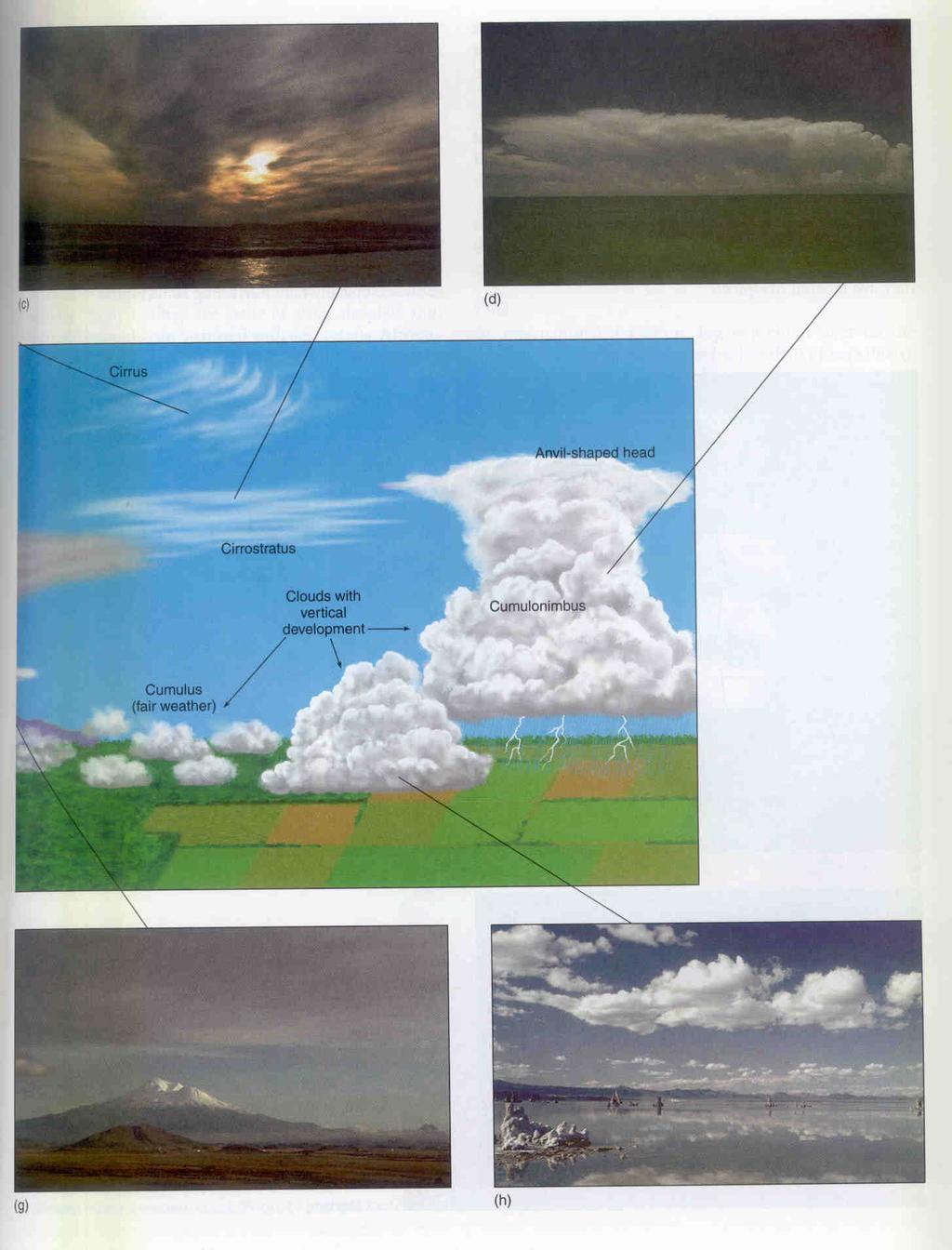 ΕΙΔΗ ΝΕΦΩΝ (2/2) Altocumulus Nimbostratus Cirrus Stratus