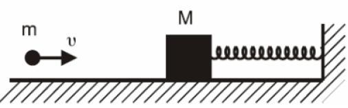 για τη δύναμη ισχύει: α. F = D β. F = D x γ. F = D x δ. F = 0 ΘΕΜΑ ο. Το φαινόμενο του συντονισμού παρατηρείται μόνο στις α. μηχανικές ταλαντώσεις. β. ηλεκτρικές ταλαντώσεις. γ. εξαναγκασμένες ταλαντώσεις.