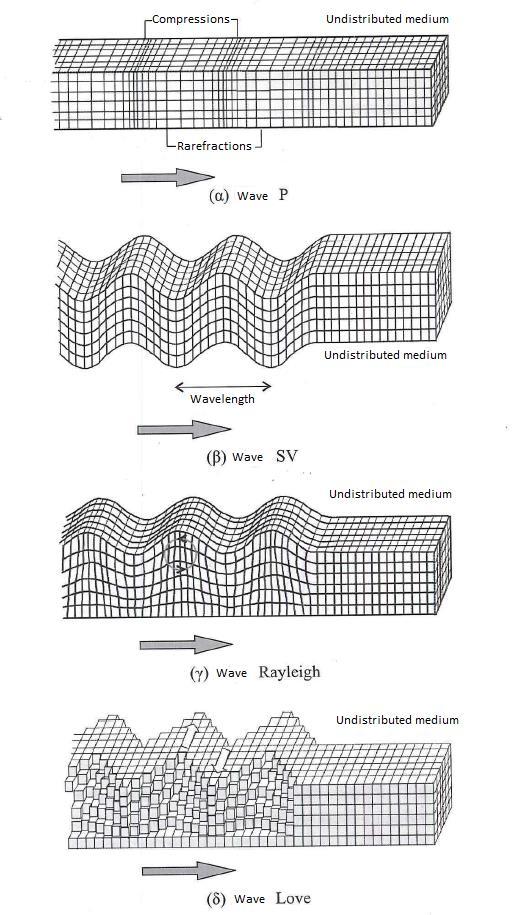 10 Θεωρητικό υπόβαθρο Figure 2-2: Deformations that are caused by body waves (a) P and (b) S and by surface waves (c) Rayleigh and (d) Love.