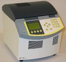 Γ. Μοριακές τεχνικές (1) PCR και