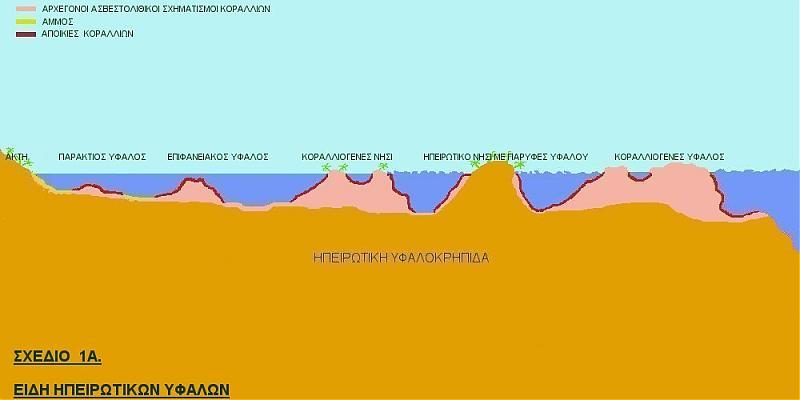 3 Ηπειρωτικούς υφάλους (σχέδιο 1Α). Ωκεάνιους υφάλους (σχέδιο 1Β). Λέγοντας ηπειρωτικοί ύφαλοι, εννοούμε αυτούς τους υφάλους που έχουν δημιουργηθεί κοντά σε ηπειρωτική γη. Στις ακτές π.χ. ενός νησιού, ή ακόμα και μιας ηπείρου (Αυστραλίας).