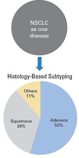 11 Traditional Classification and Treatment of NSCLC Classification Treatment: One-Size-Fits All Approach Platinum Doublet