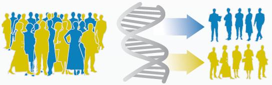 17 There is a Need for a More Precise Treatment Approach Based on Molecular Features in NSCLC Traditional One-Size-Fits All Approach All patients with the same diagnosis receive same treatment