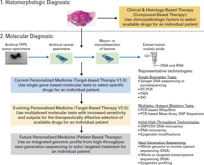 18 Revolution in Cancer Molecular Diagnosis Involves