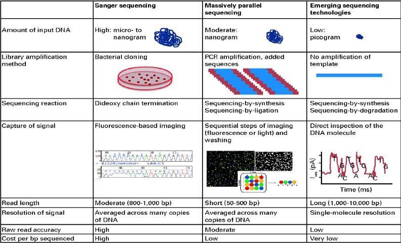 38 Existing and emerging sequencing