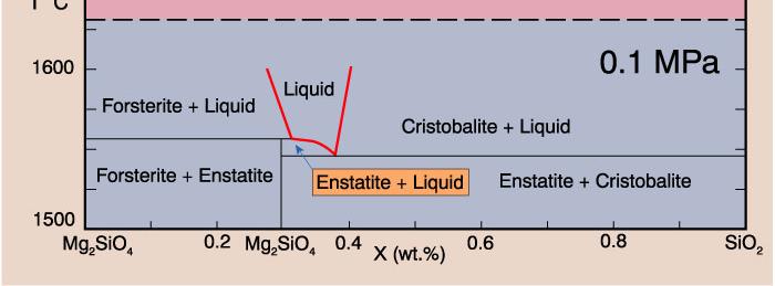 The system Fo- SiO 2 at