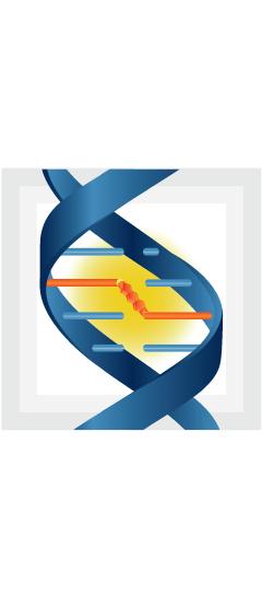 Σύστηµα Αίµατος INTERCEPT Σύστηµα Μείωσης Παθογόνων Παράγωγα Πλάσµατος ή Αίµατος δότη επιµολυσµένα µε παθογόνα Στο εσωτερικό του παθογόνου, το INTERCEPT «κλειδώνει»το DNA ή RNA για την αποφυγή της
