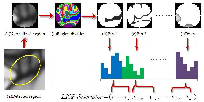 περιγραφέας σχηματίζεται από την σύμπτυξη των LIΟPs των σημείων σε κάθε διατεταγμένο κελί. Η λειτουργία του περιγραφέα απεικόνίζεται στην Εικόνα 8. Εικόνα 8 Παράδειγμα των βημάτων εξαγωγής του LIOP.