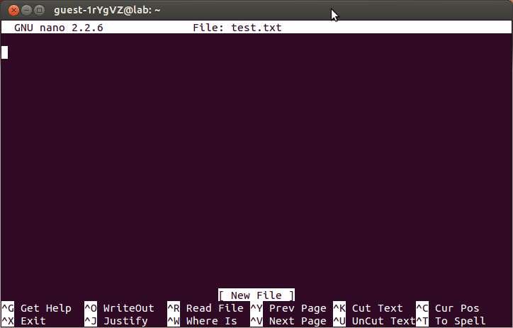 6 Ο απλός κειμενογράφος «nano» Για την σύνταξη κειμένων μπορούμε να χρησιμοποιήσουμε τον κειμενογράφο «nano». Έστω ότι θέλετε να δημιουργήσετε το αρχείο κειμένου test.